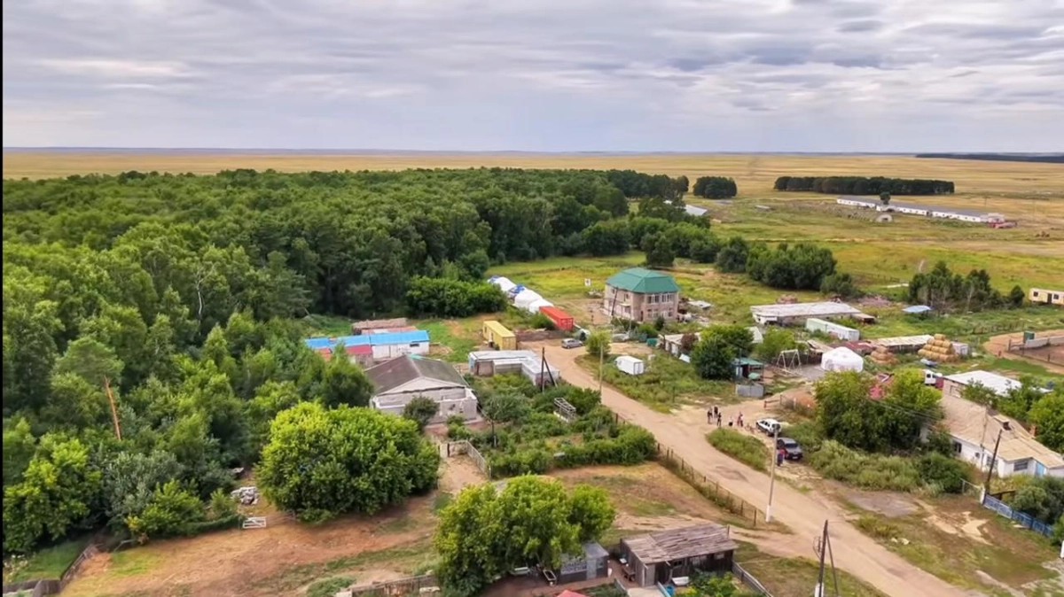 Фото: скриншот видео