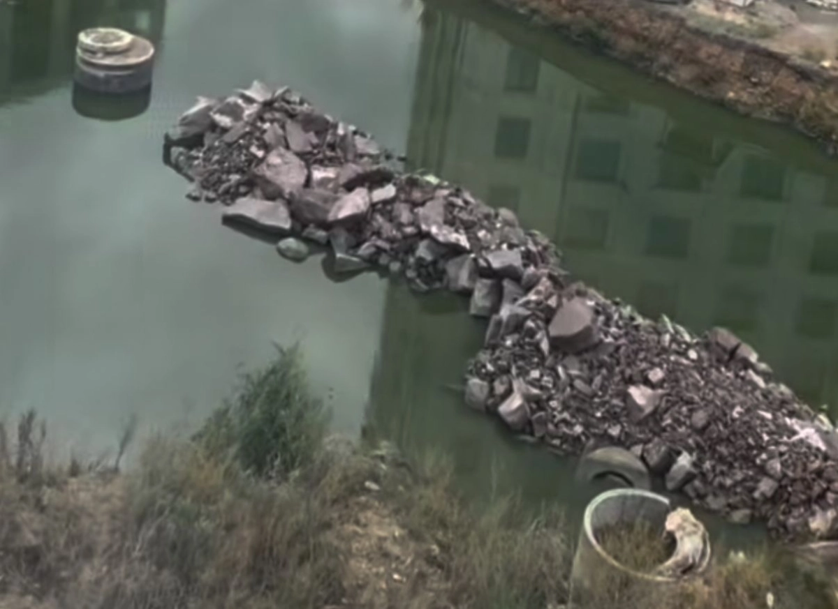 Фото: скриншот видео