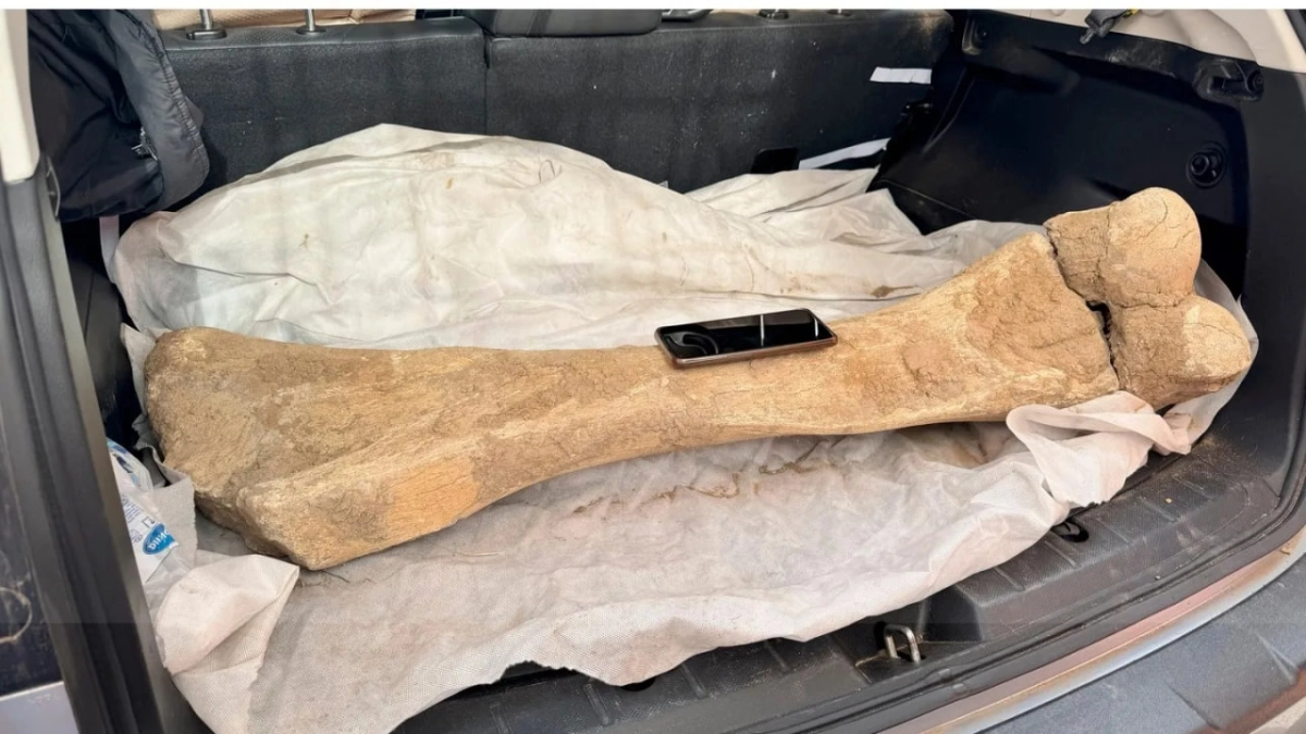 Фото: Instagram/ gylym_jogarybilim