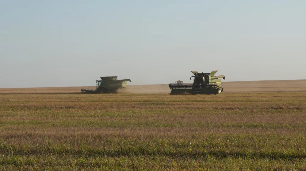 Фото: пресс-служба акимата Атбасарского района