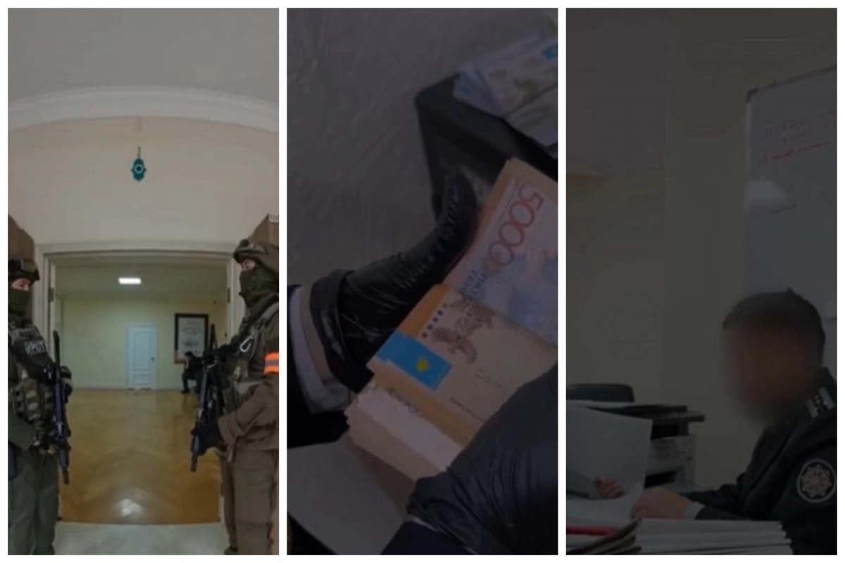 Фото: скриншот из видео