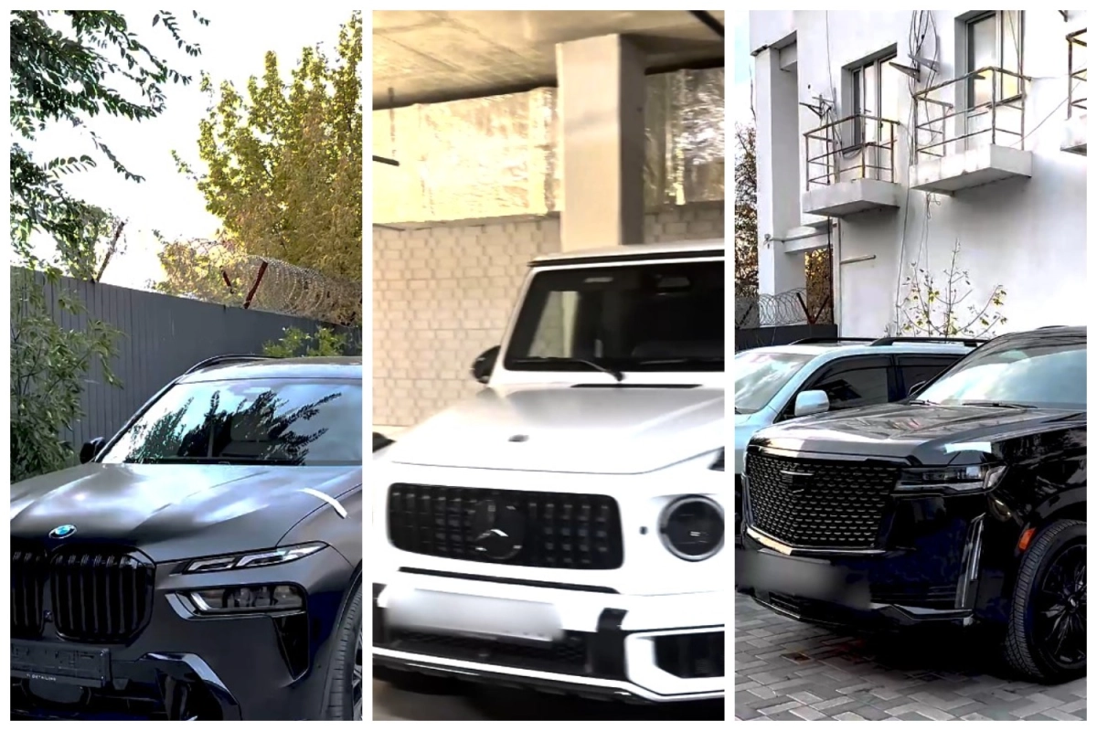 Фото: скриншот видео