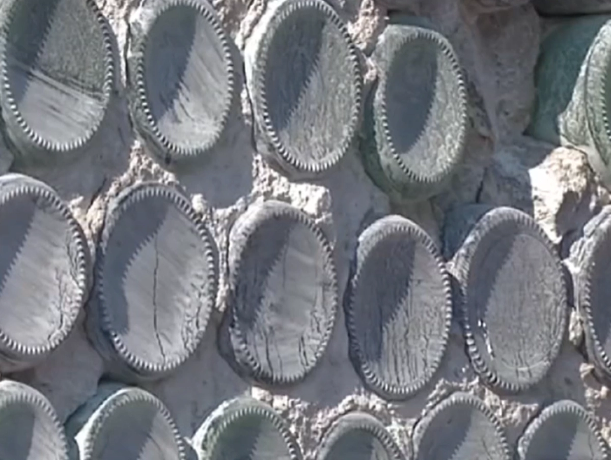 Кадр из видео/ КТК