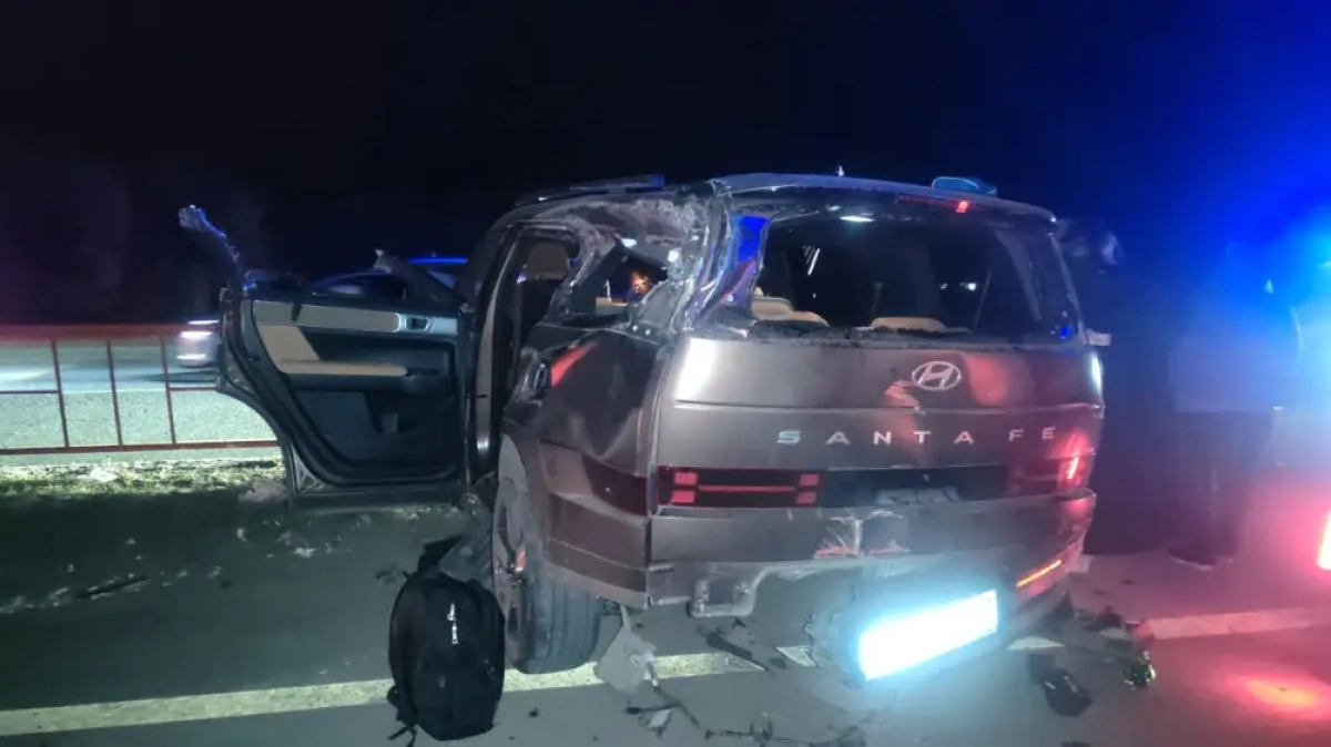 Фото предоставили в ДП Акмолинской области