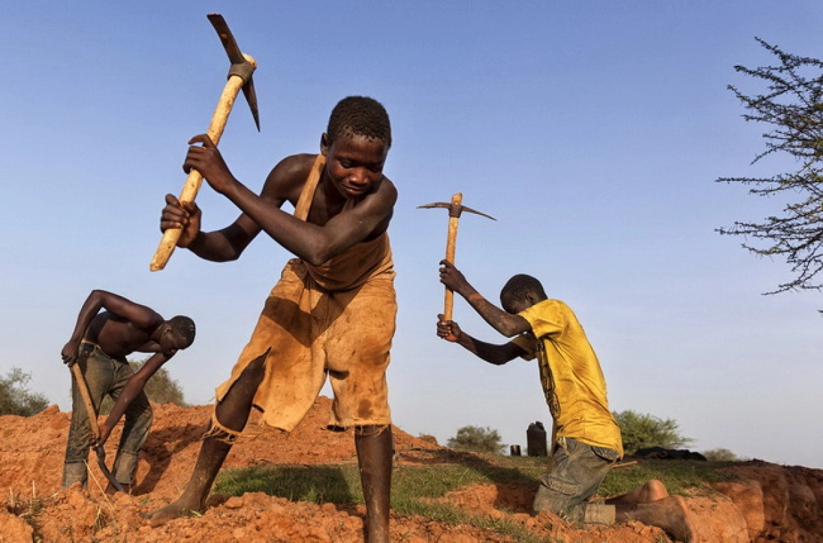 Фото с сайта eruda.ru