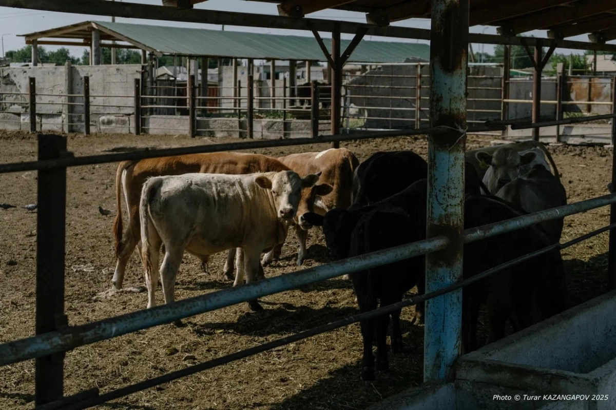 Фото: ИА «NewTimes.kz» / Турар Казангапов