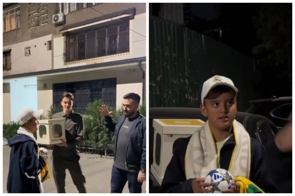 Фото: скриншот из видео