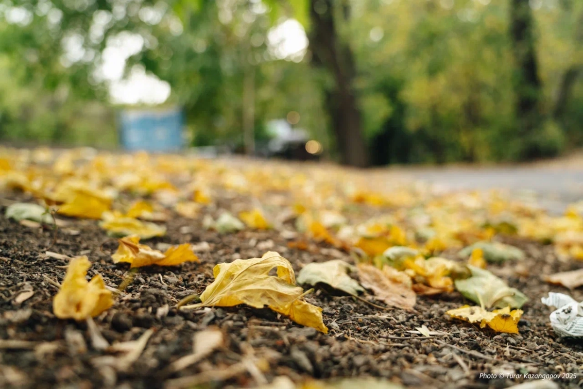 Фото: ИА «NewTimes»/Турар Казангапов