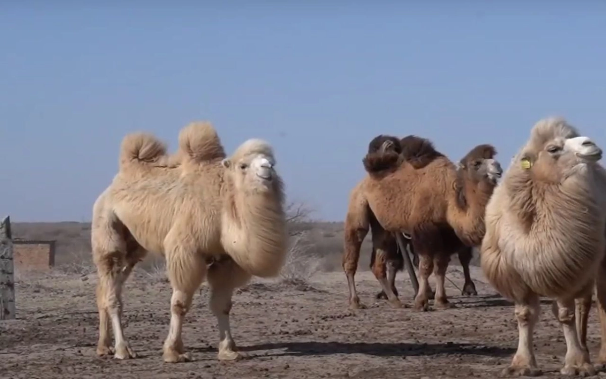 Фото: из открытых источников