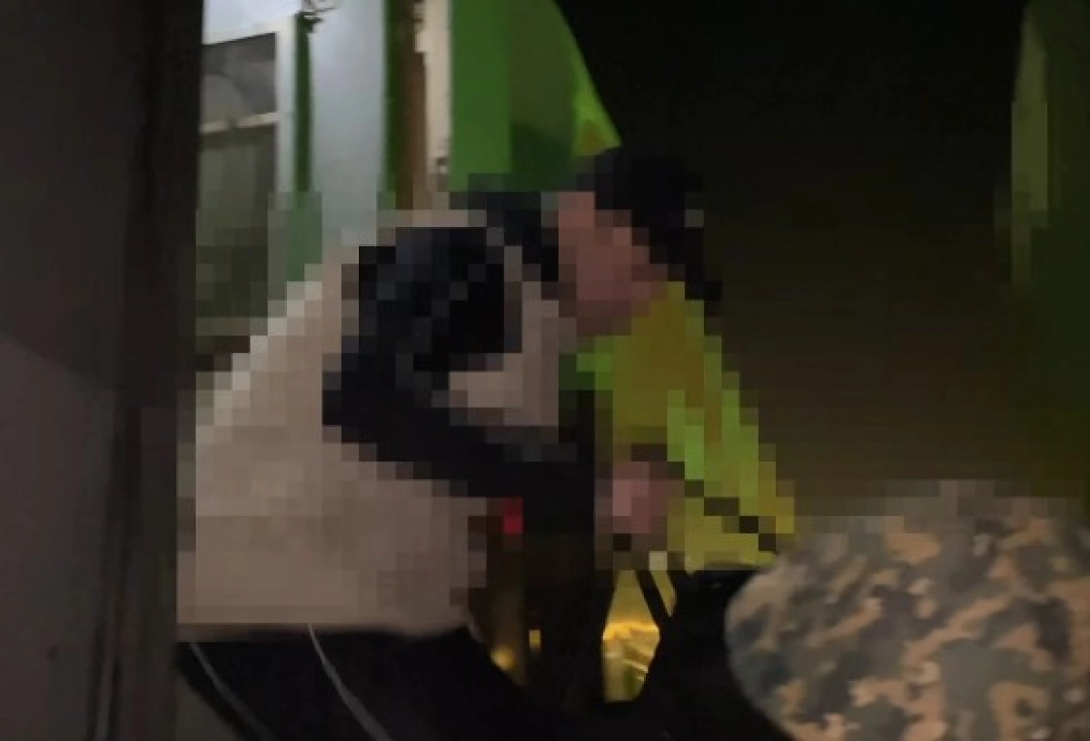 Фото: скриншот видео