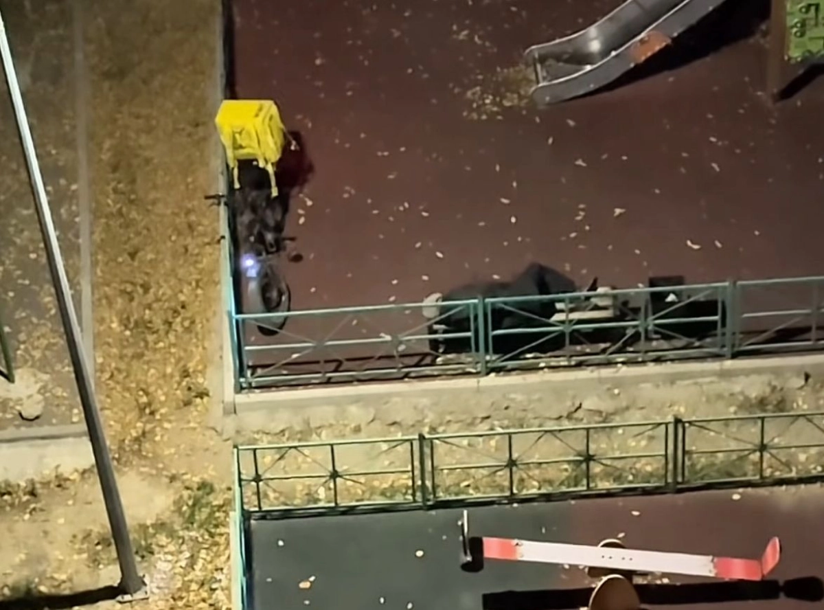 Фото: скриншот видео