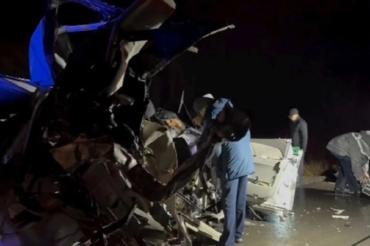 Фото: скриншот видео