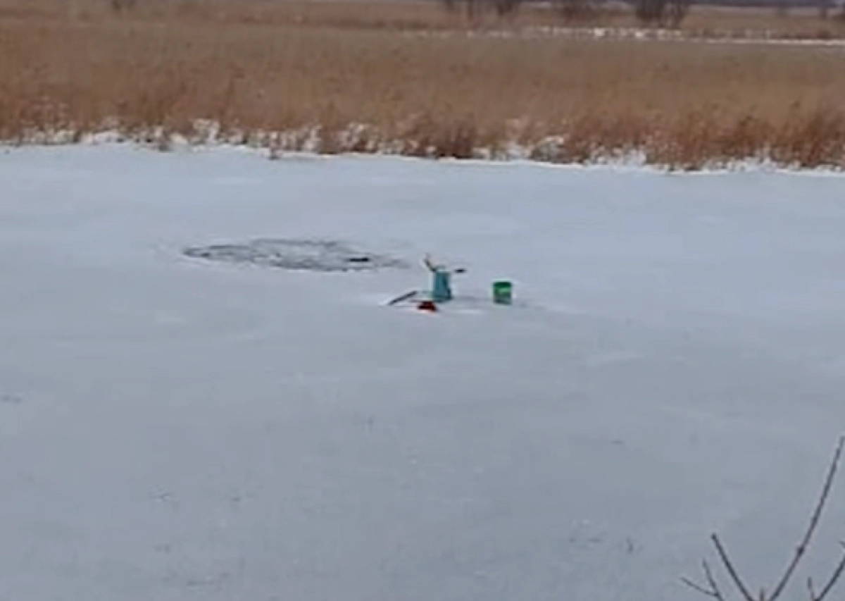 Кадр из видео