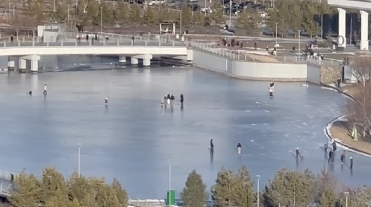 Фото: скриншот видео