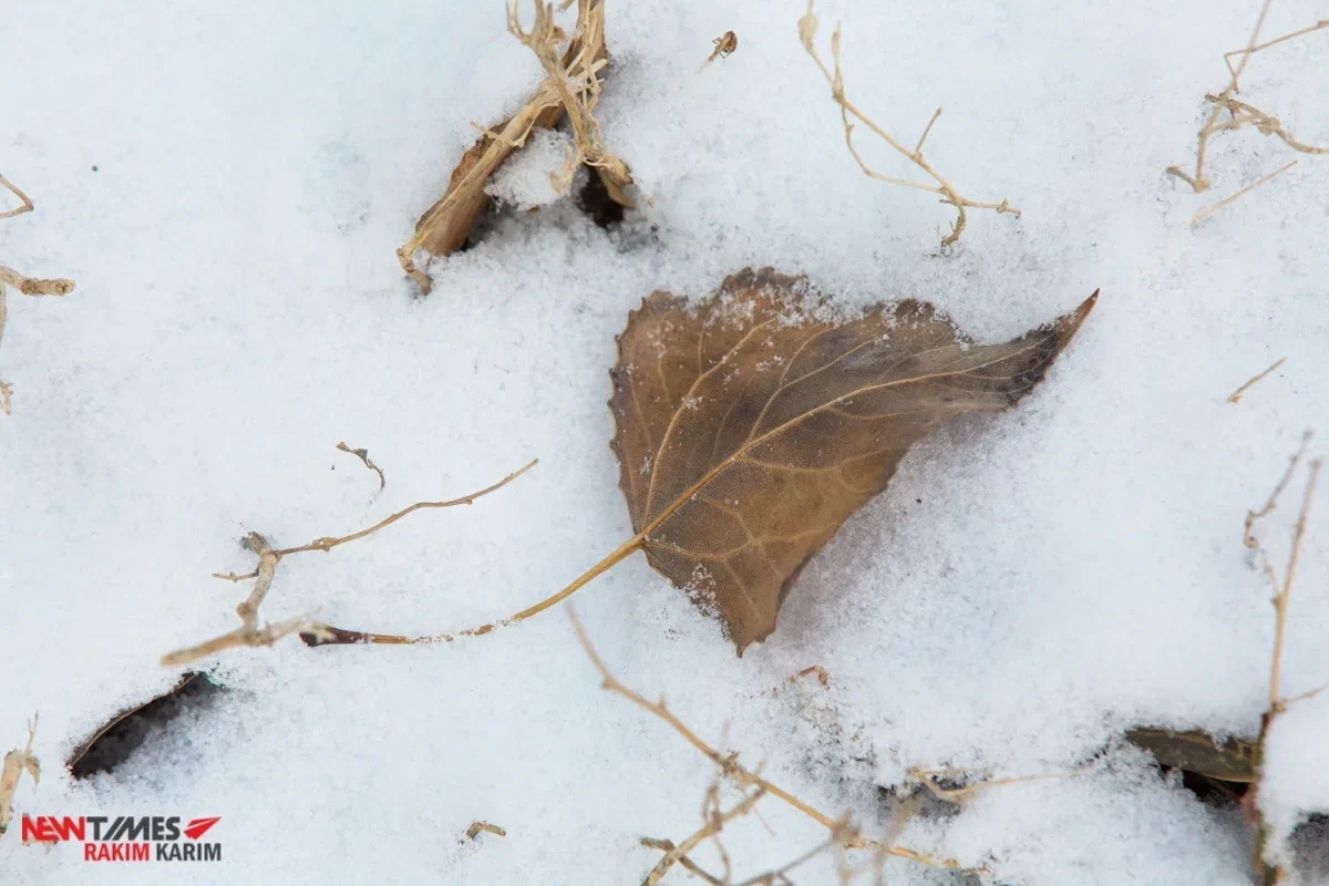 Фото: Newtimes.kz