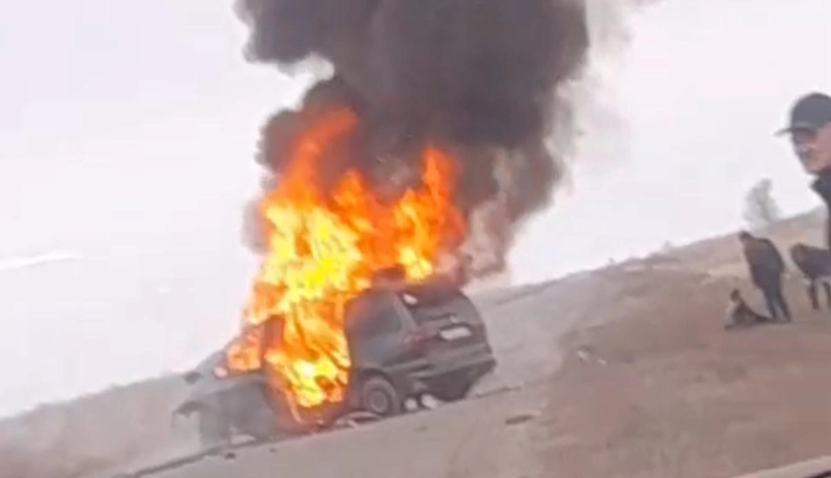 Фото: скриншот из видео