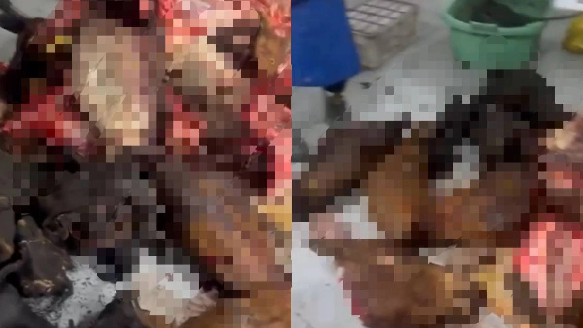 Фото: Polisia.kz