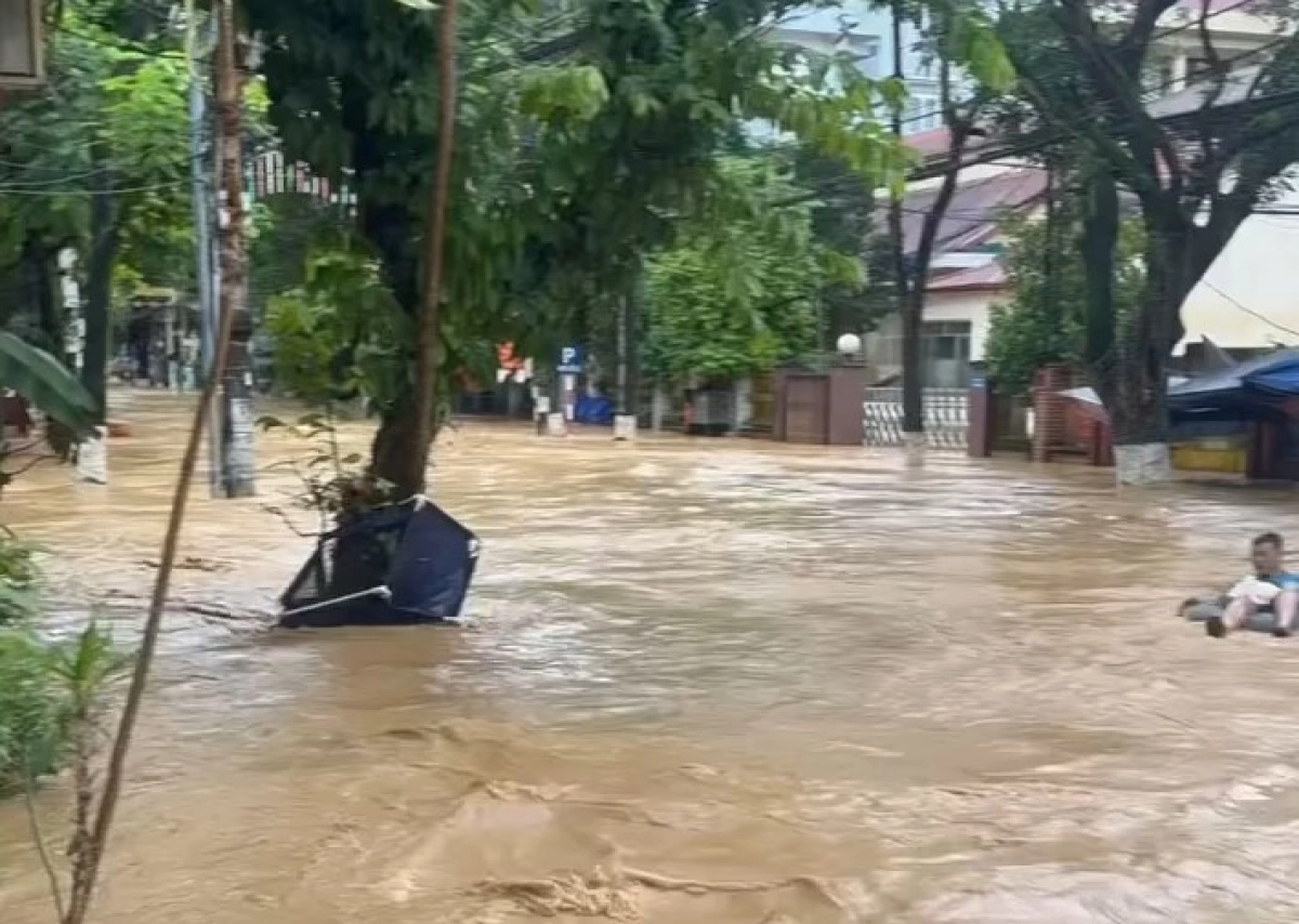 Фото: скриншот видео