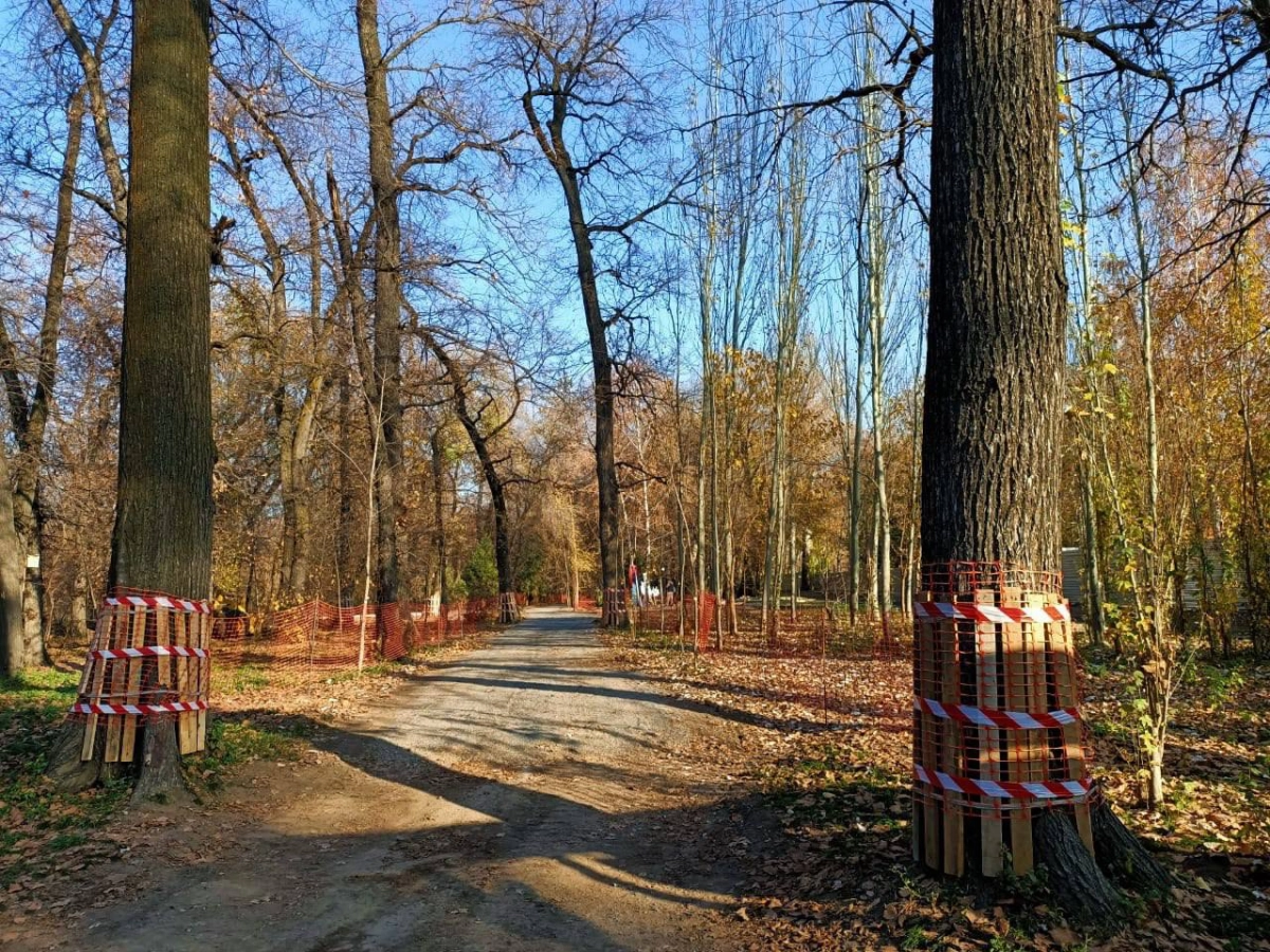 Фото: «BAZIS-A»