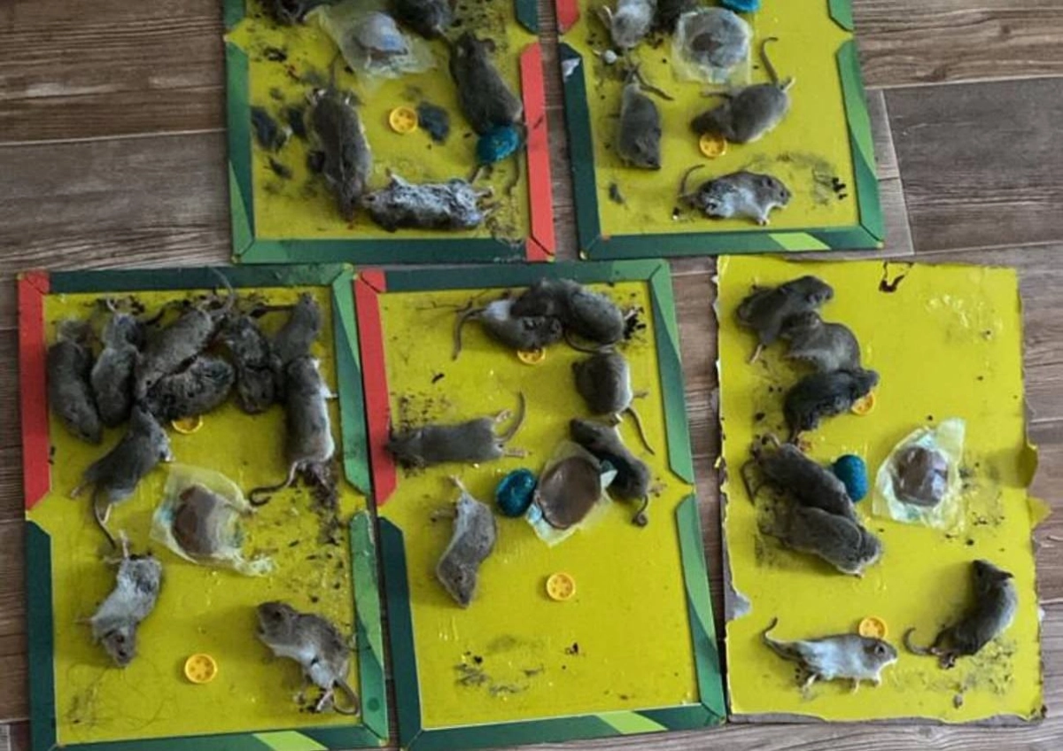 Фото: скриншот из видео