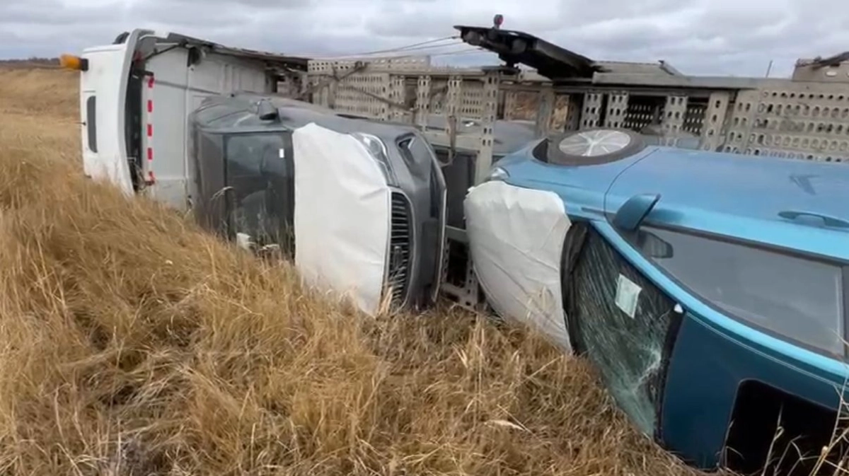 Фото: ДП Акмолинской области