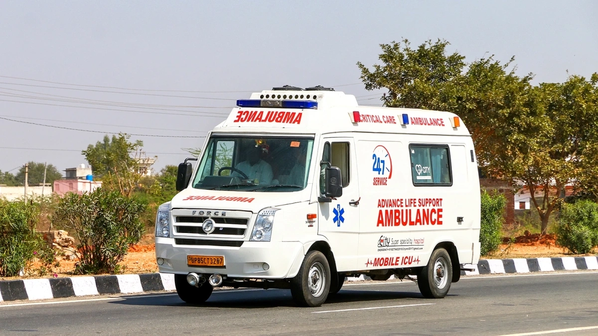 Фото: Art Konovalov / Shutterstock / FOTODOM