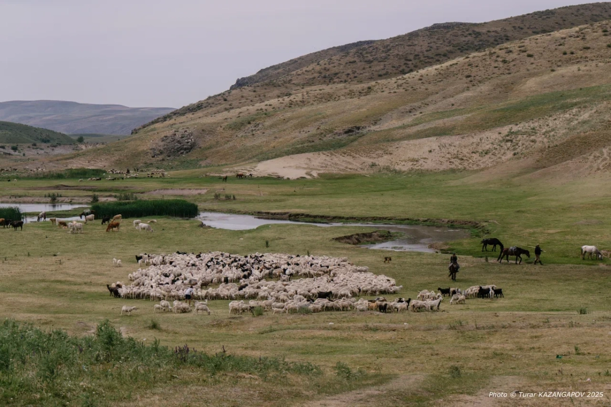 Фото: NewTimes/Турар Казангапов