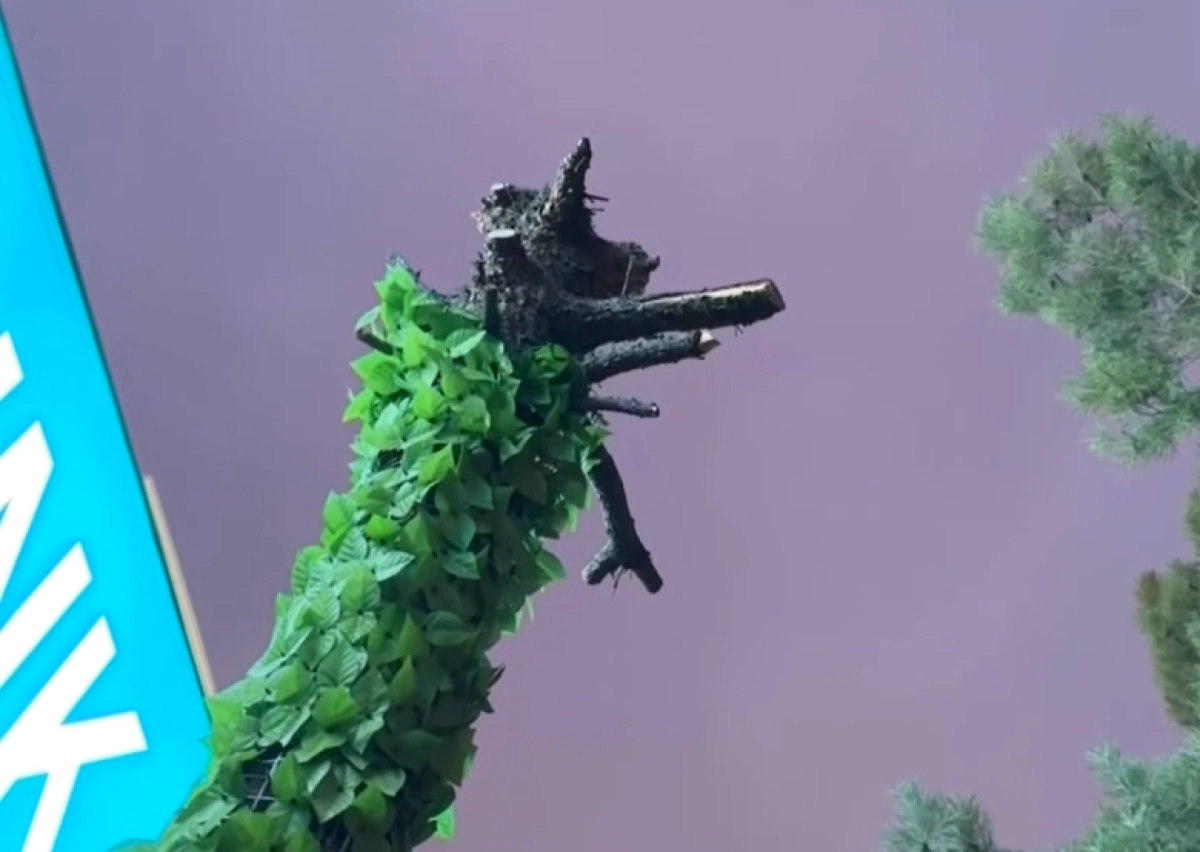 Кадр из видео/ КТК