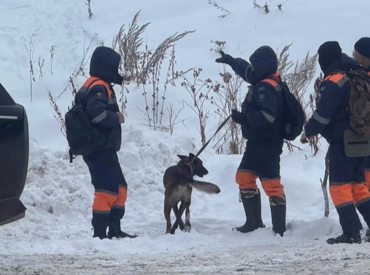 Фото:  Instagram/ @skiparkpioneer