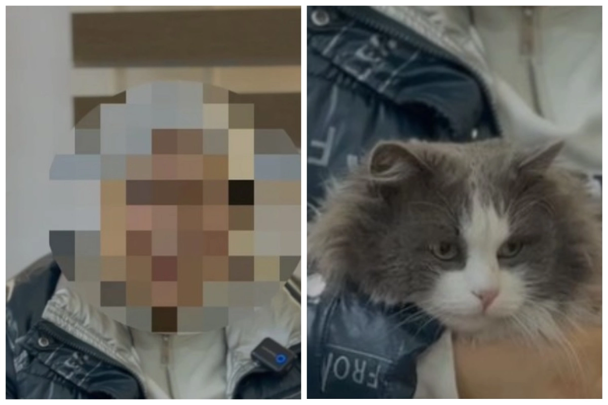 Фото: скриншот видео