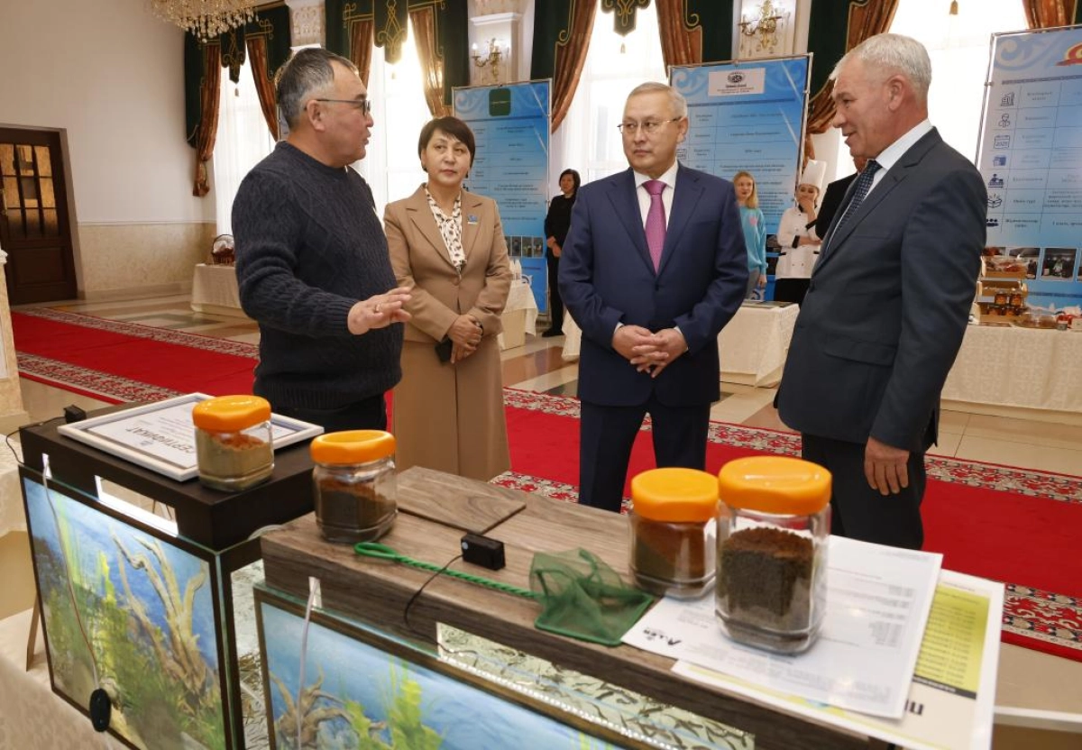 Фото: Жумабай Мусабеков