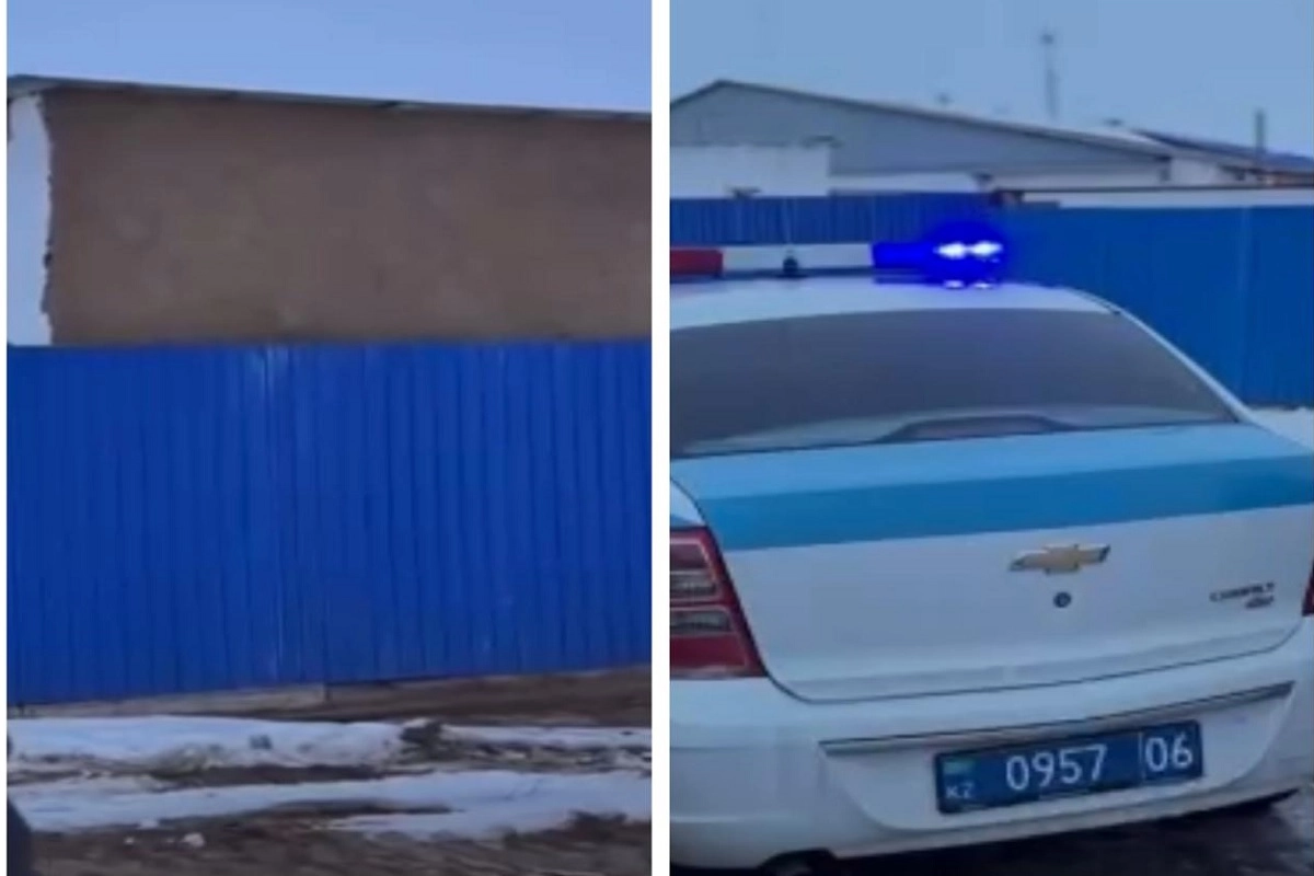 Фото: скриншот видео