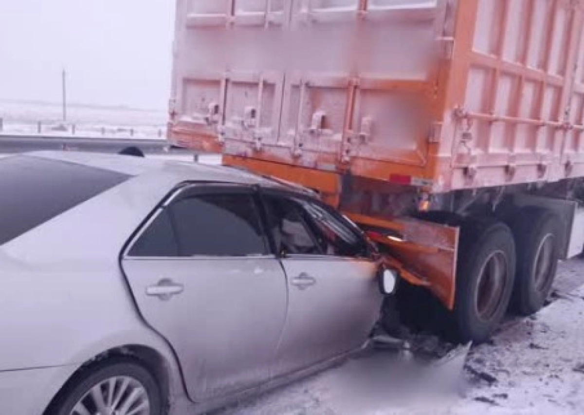 Фото: скриншот из видео