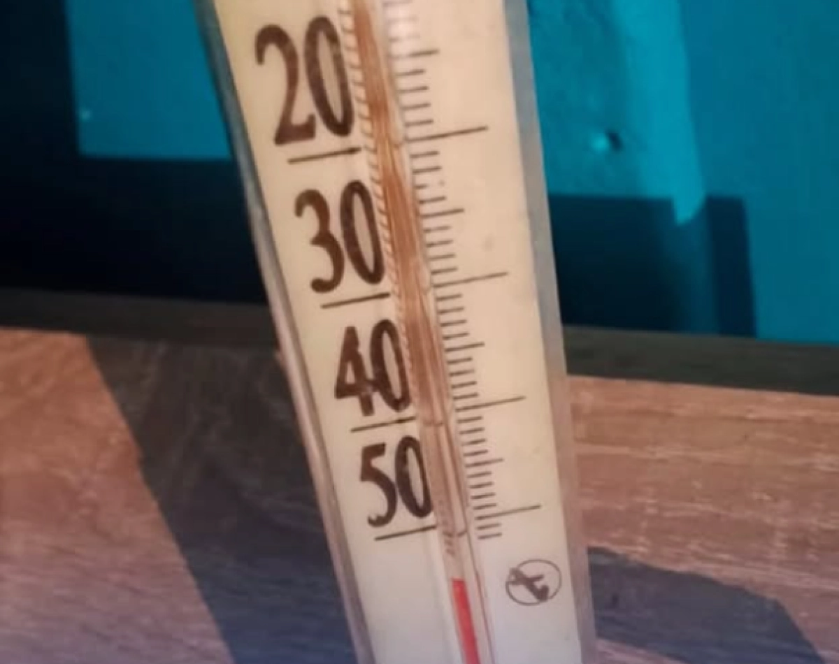 Фото: Instagram/ @marqakol_audany