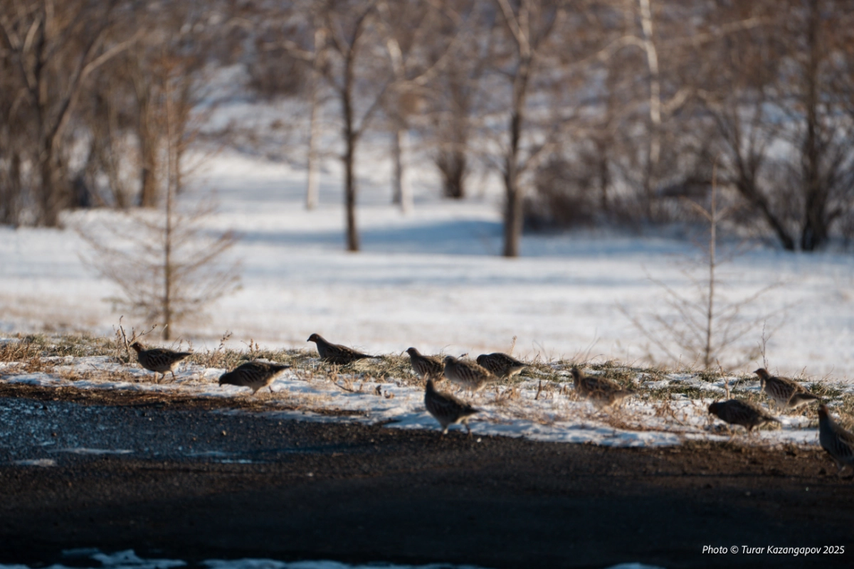 Фото: Newtimes.kz/ Турар Казангапов