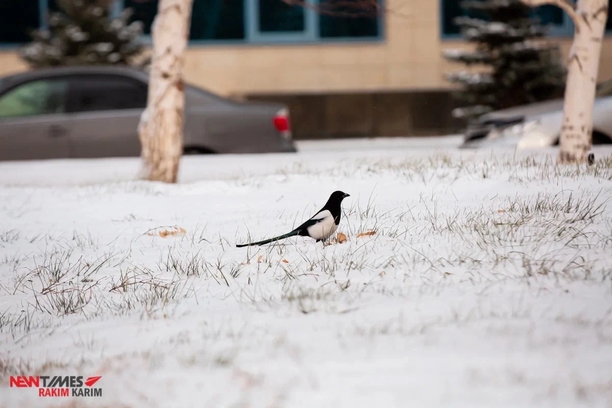 Фото: ИА «NewTimes.kz»