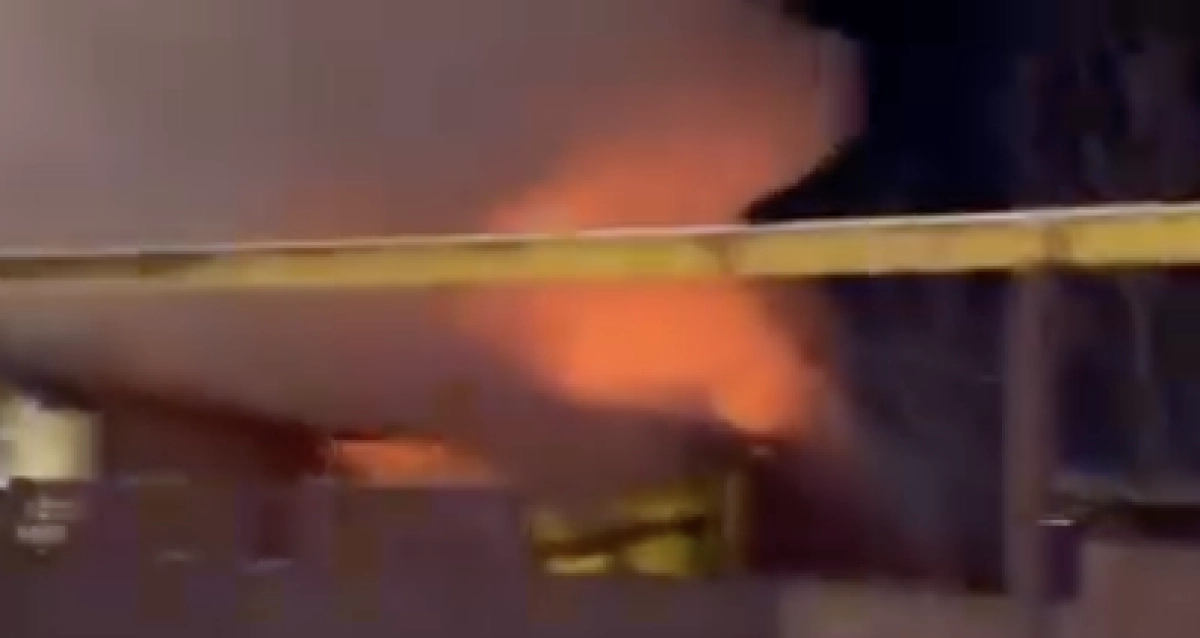 Фото: скриншот видео