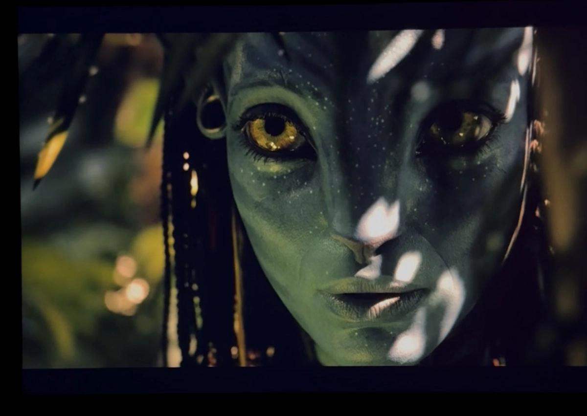 Фото: скриншот видео