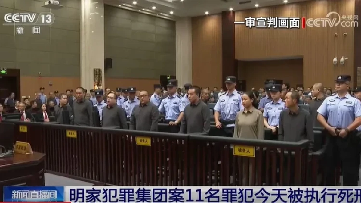 Фото: tv.cctv.com