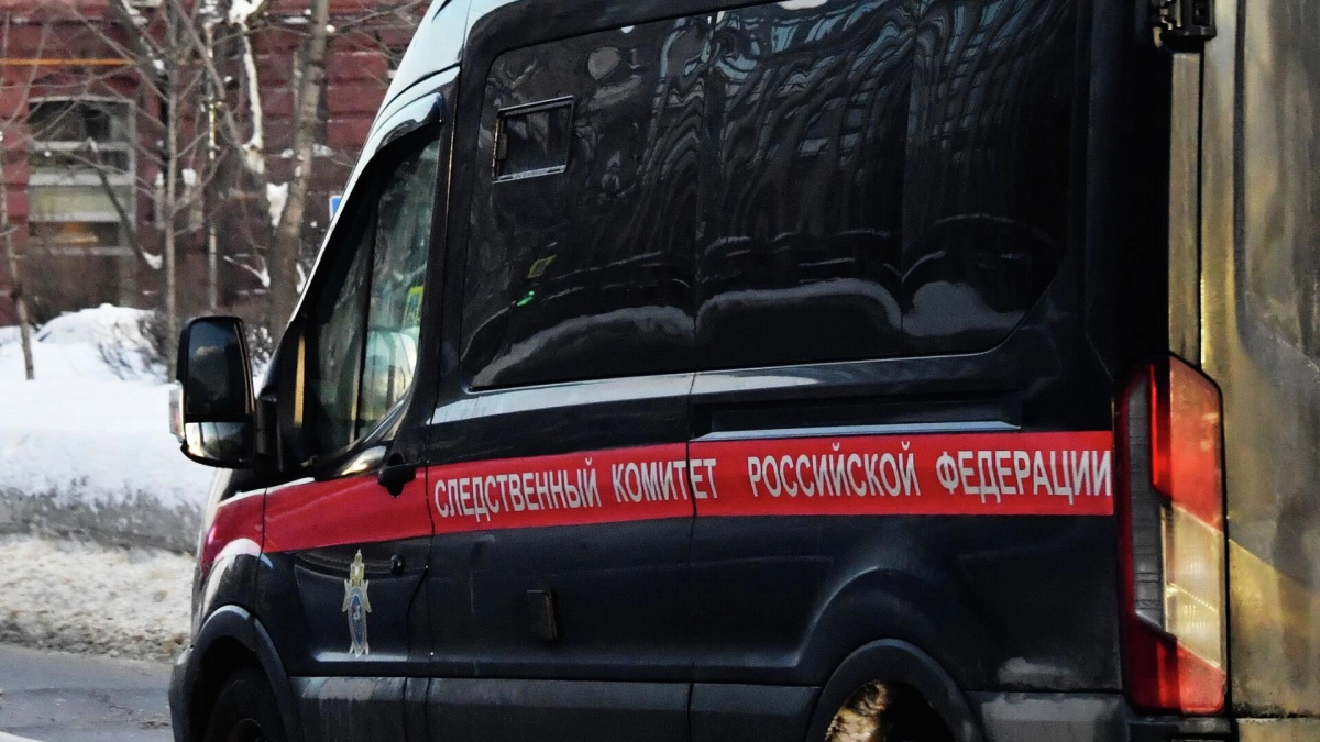 Фото: РИА Новости / Наталья Селиверстова