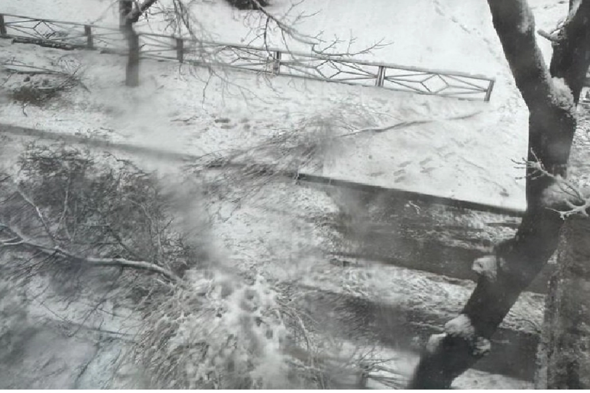 Фото: скриншот видео