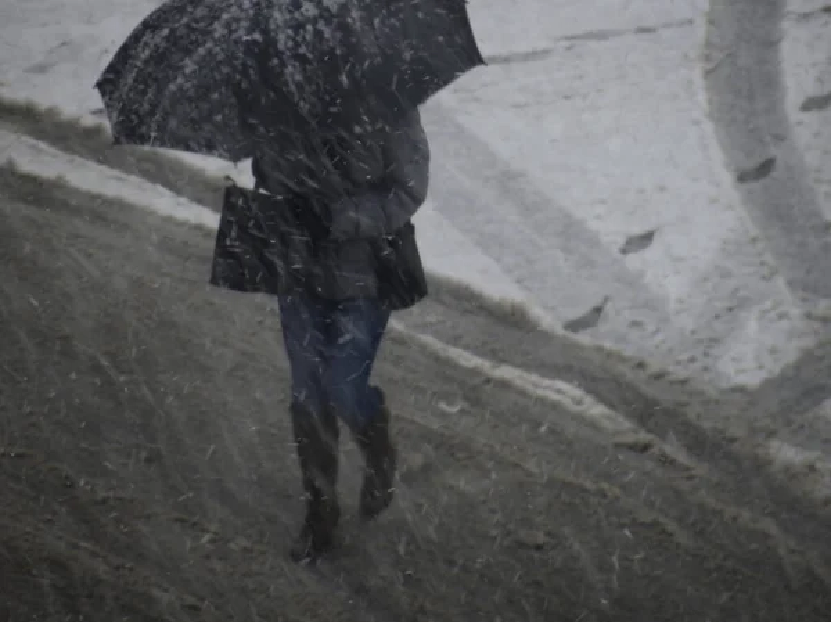 Фото: depositphotos.com