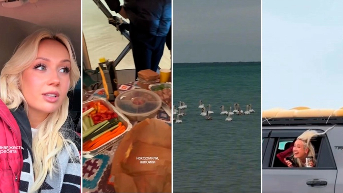 Фото: скриншот видео