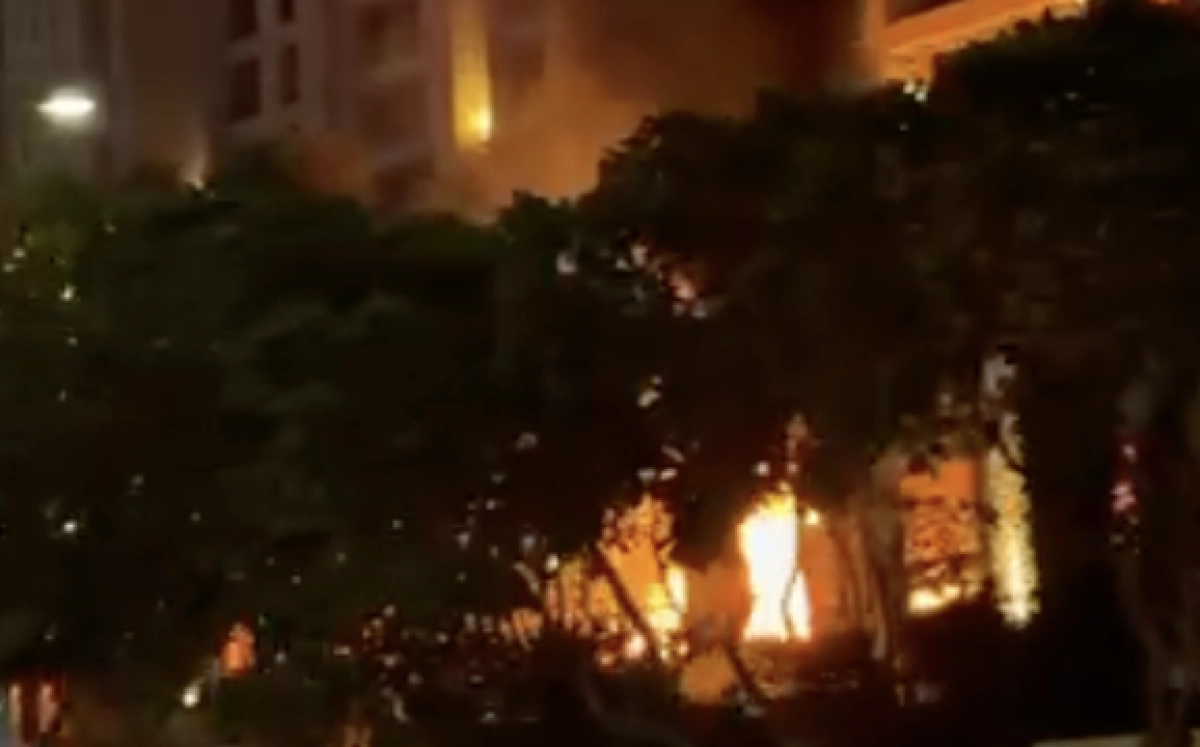 Фото: скриншот видео