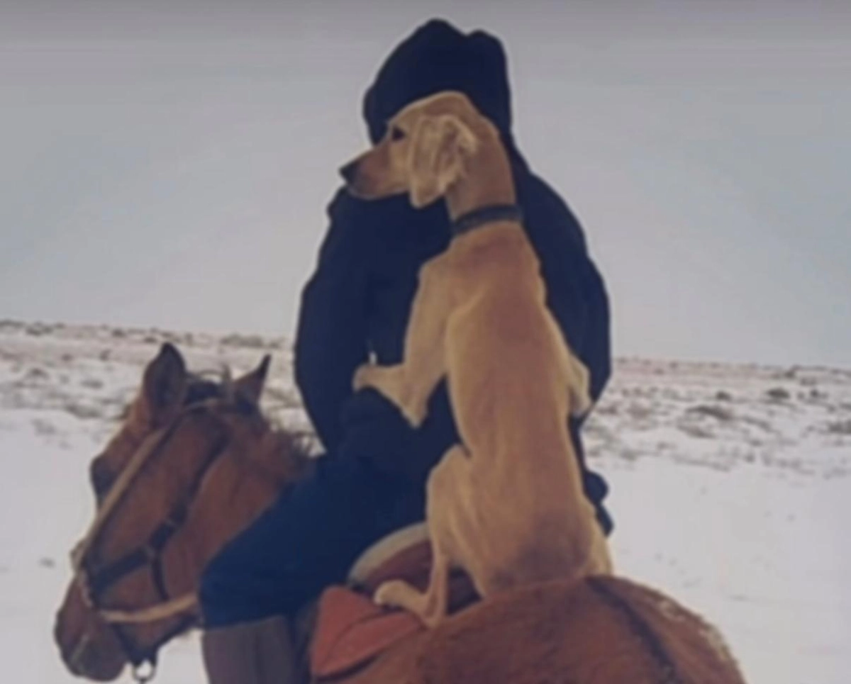 Фото: скриншот видео