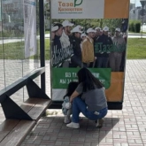 Казахстанцы спорят: мама разрешила пописать ребенку на остановке