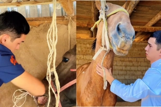 «Думают, что работа грязная»: казахстанец рассказал, как зарабатывает 500 тысяч тенге