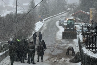 Ветер повалил дерево на дороге к Шымбулаку в Алматы