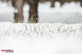 Прогноз погоды на 14 марта в Казахстане