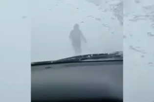 Учительница в одиночку вывела автоколонну из бурана на трассе в Павлодарской области